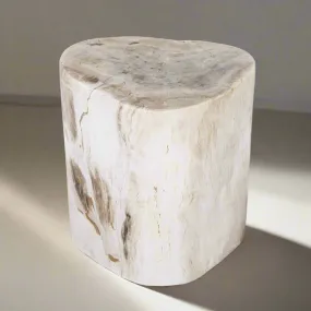 Natural Polished Petrified Wood Stool from Indonesia - 18 / 227 lbs